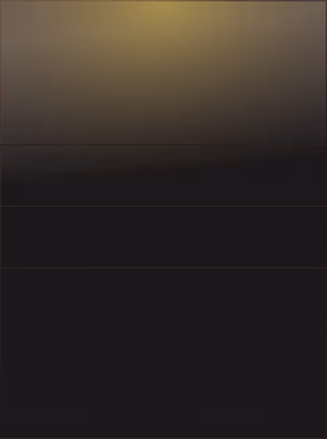 level-3