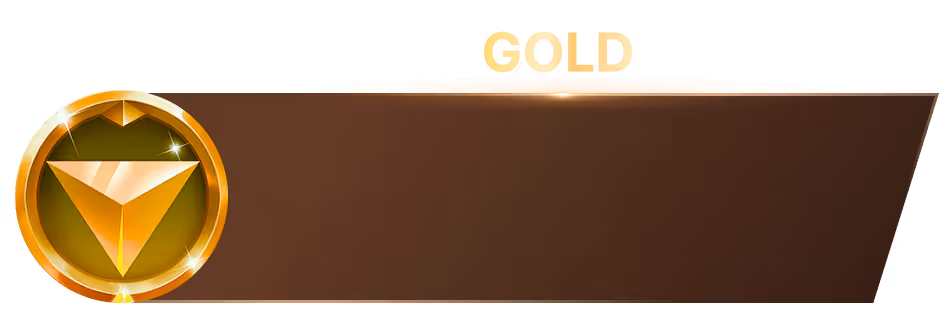 level-3